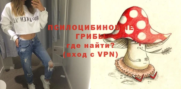 spice Балахна