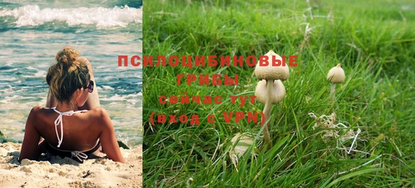 spice Балахна