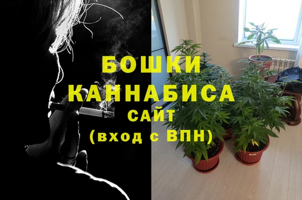 spice Балахна